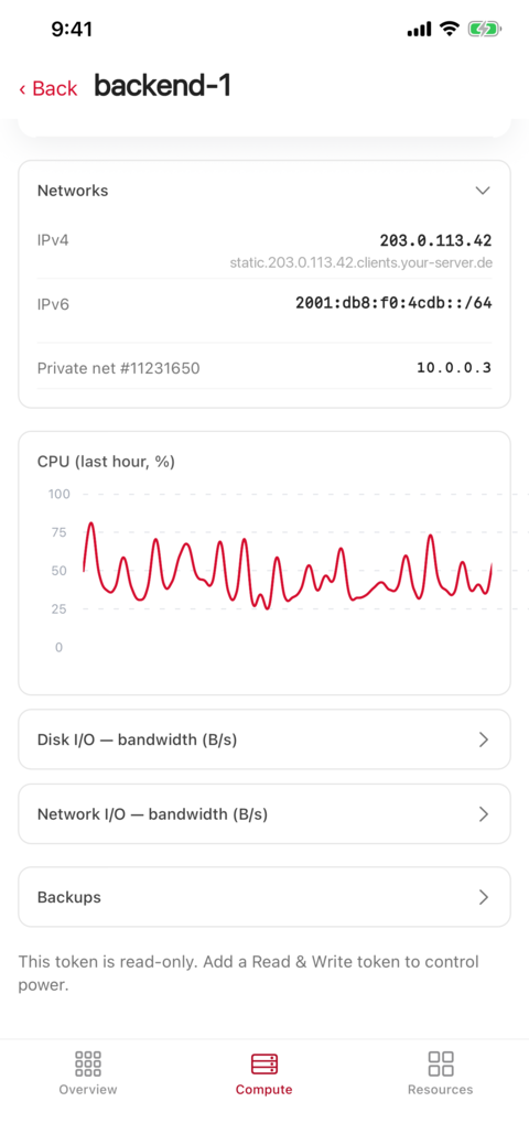 A server's detail screen showing a live CPU chart and its network addresses