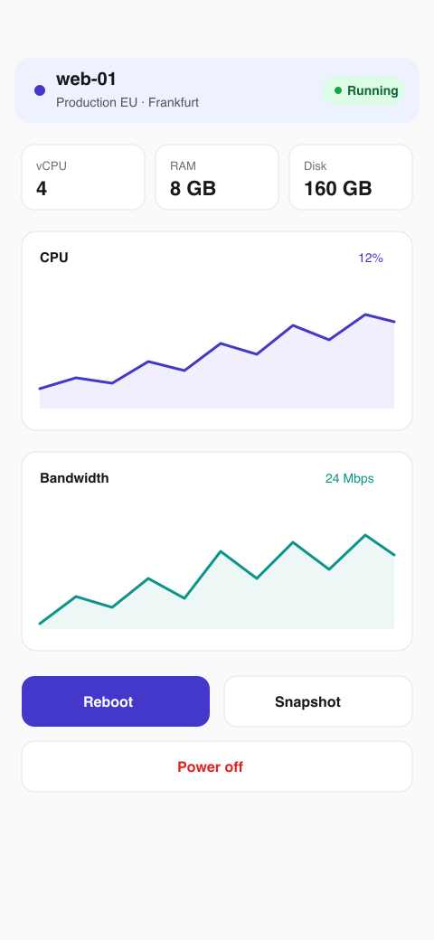 Server detail screen with live CPU and bandwidth metrics